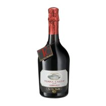  Ca' De' Medici Terra Calda Lambrusco Dell'Emilia - Vino Frizzante Rosso IGT 0,75l - 11,5%
